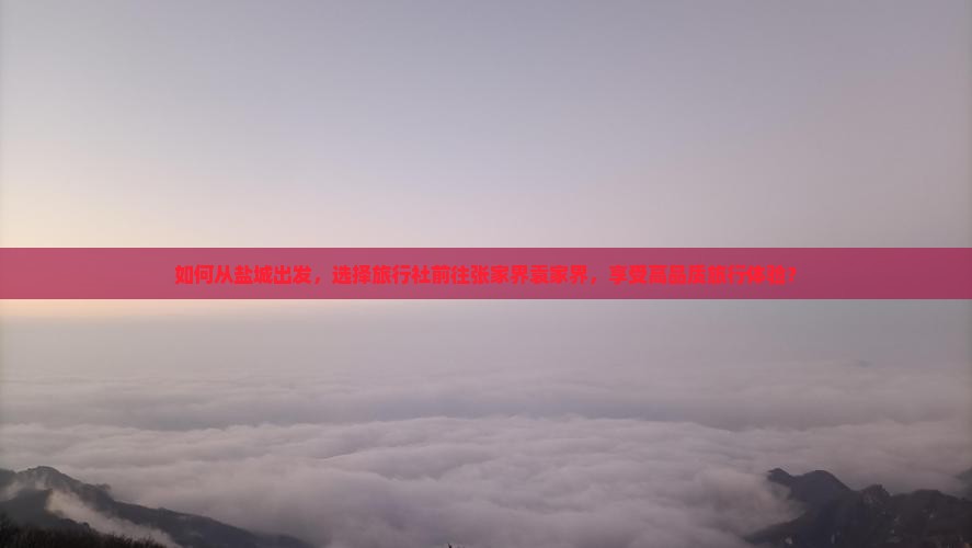 如何从盐城出发，选择旅行社前往张家界袁家界，享受高品质旅行体验？