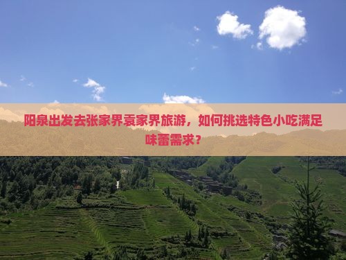 阳泉出发去张家界袁家界旅游，如何挑选特色小吃满足味蕾需求？