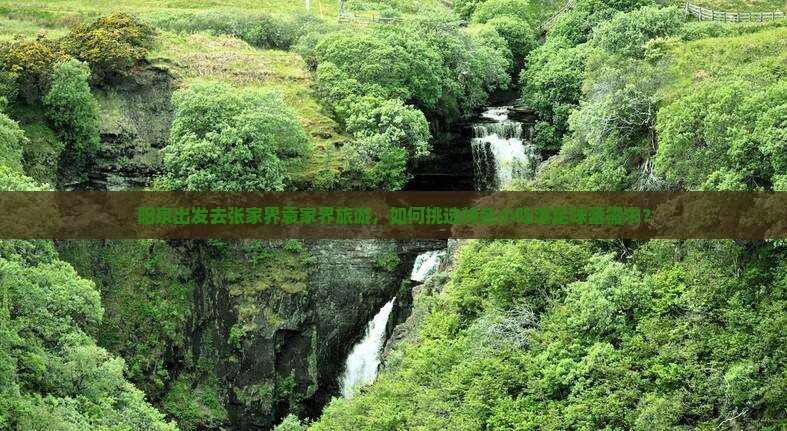 阳泉出发去张家界袁家界旅游，如何挑选特色小吃满足味蕾需求？