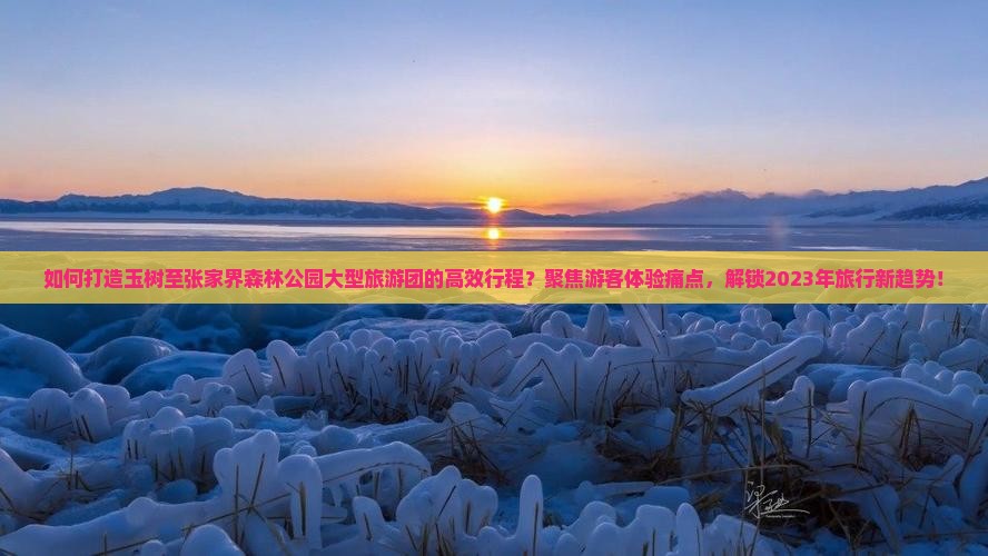 如何打造玉树至张家界森林公园大型旅游团的高效行程？聚焦游客体验痛点，解锁2023年旅行新趋势！