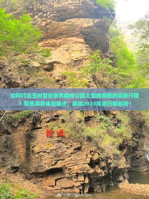 如何打造玉树至张家界森林公园大型旅游团的高效行程？聚焦游客体验痛点，解锁2023年旅行新趋势！