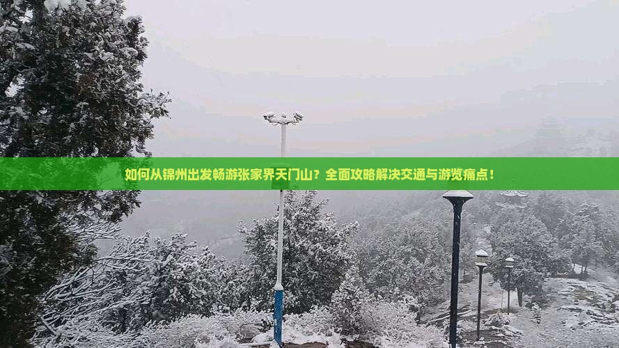 如何从锦州出发畅游张家界天门山？全面攻略解决交通与游览痛点！