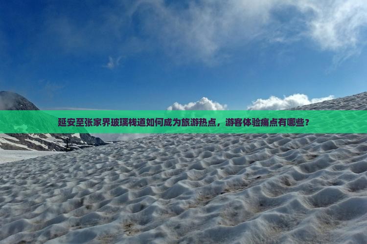 延安至张家界玻璃栈道如何成为旅游热点，游客体验痛点有哪些？