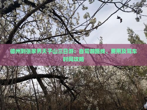德州到张家界天子山三日游：自驾游路线、费用及驾车时间攻略