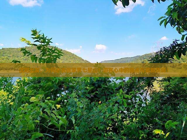 沈阳出发，为何必去张家界七星山？游客心中的痛点与最新热词！