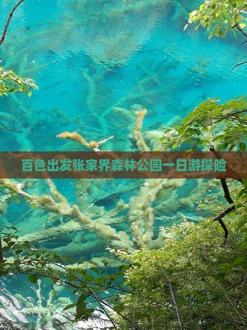百色出发张家界森林公园一日游探险