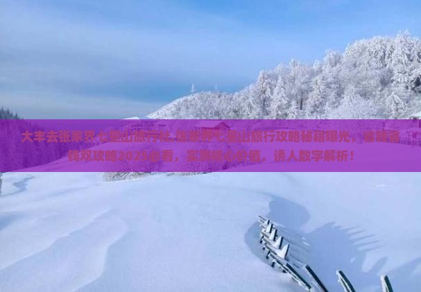 大丰去张家界七星山旅行社
