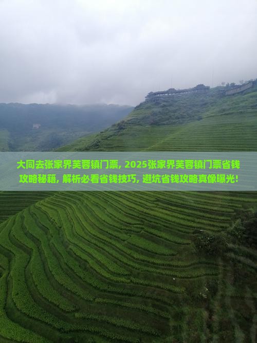 大同去张家界芙蓉镇门票