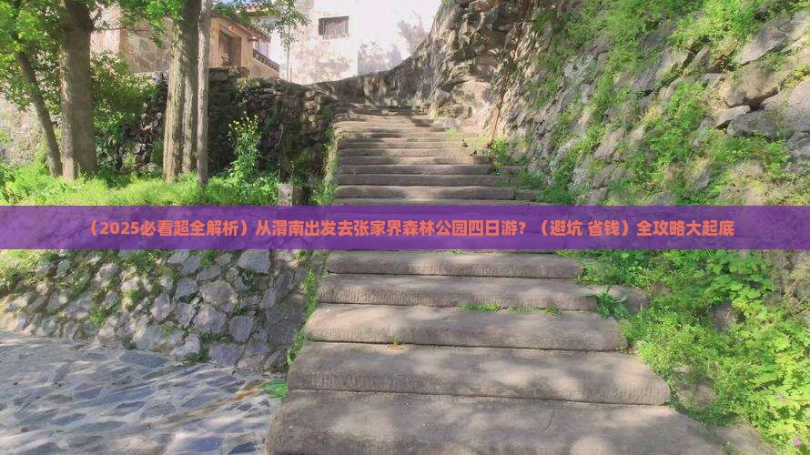 渭南去张家界森林公园四日游