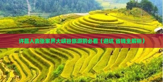 许昌去张家界大峡谷旅游