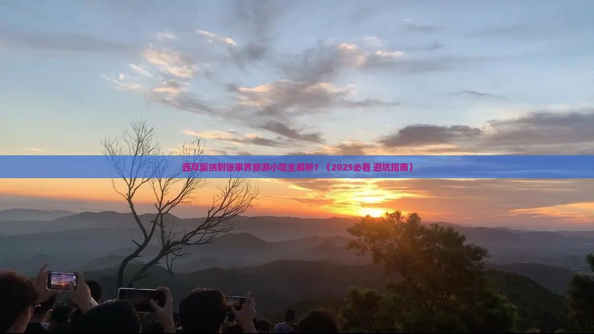 西双版纳到张家界旅游小吃