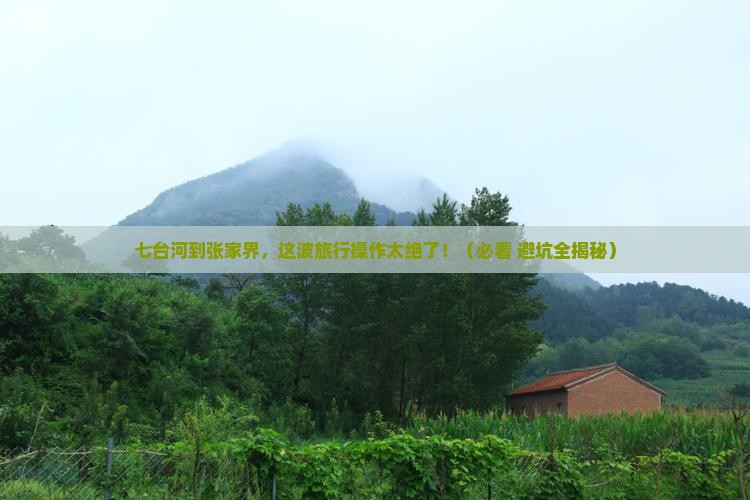 七台河到张家界必去地