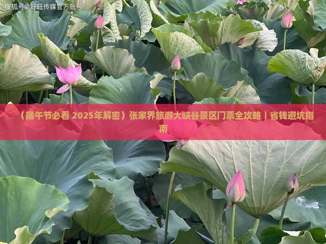 端午节到张家界大峡谷门票 端午节到张家界大峡谷门票