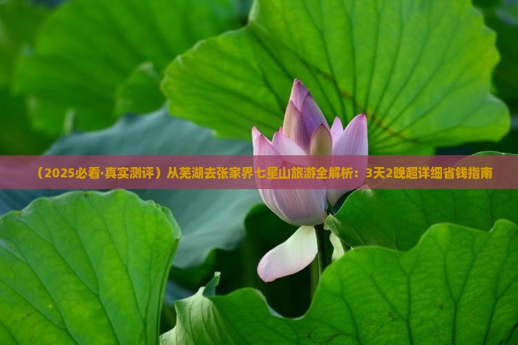 芜湖到张家界七星山旅游