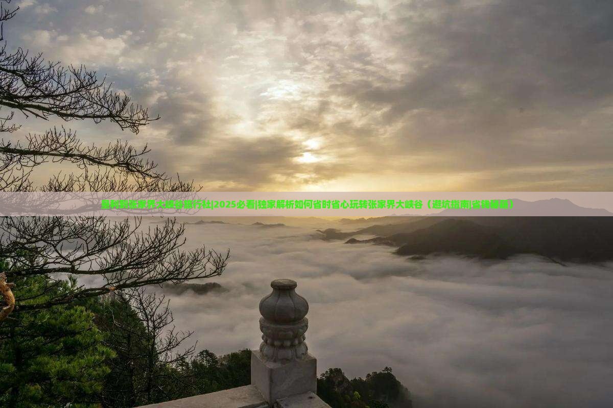 垦利到张家界大峡谷旅行社