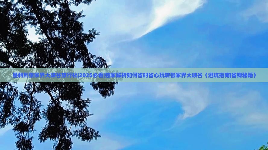 垦利到张家界大峡谷旅行社