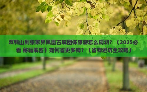 双鸭山到张家界凤凰古城团体旅游