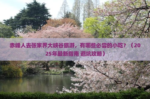 赤峰去张家界大峡谷旅游小吃