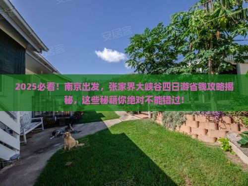 南京到张家界大峡谷四日游