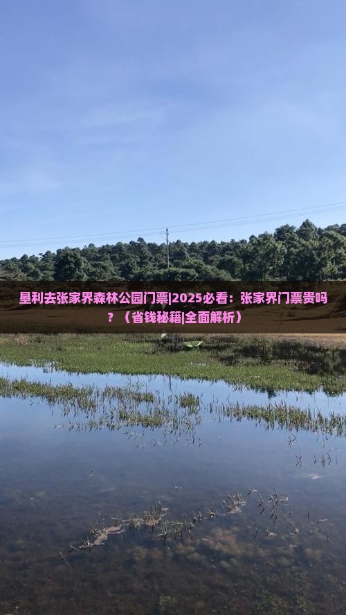 垦利去张家界森林公园门票