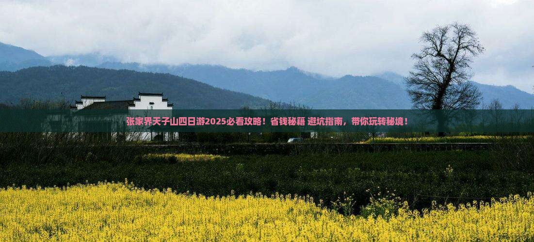 思茅去张家界天子山四日游