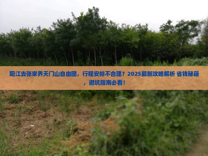 阳江去张家界天门山自由团