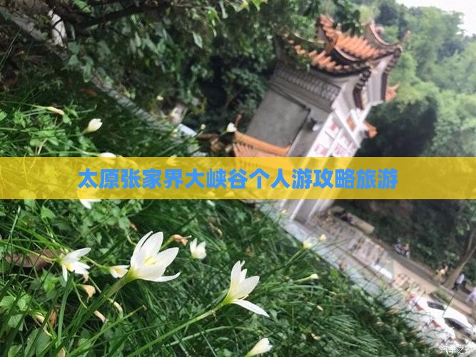 太原去张家界大峡谷个人游
