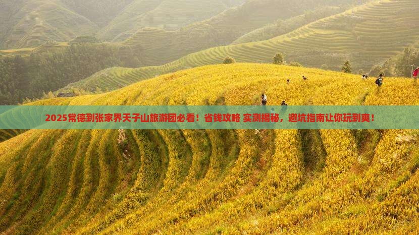 常德到张家界天子山大型旅游团