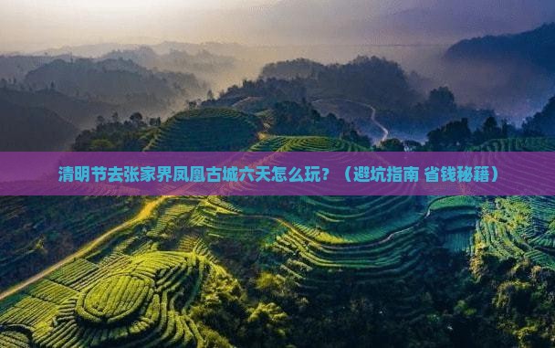 清明节到张家界凤凰古城六日游