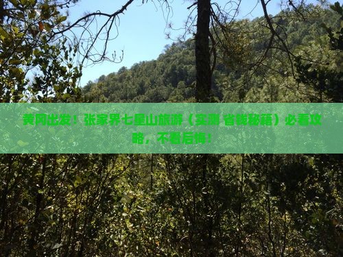 黄冈去张家界七星山旅行社