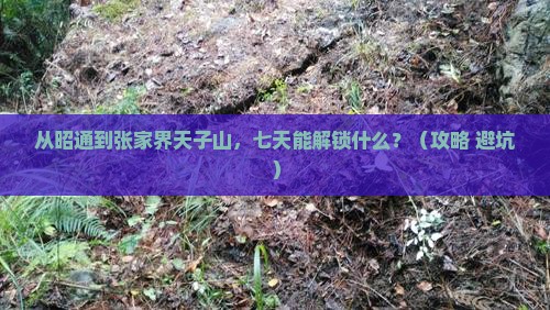 昭通到张家界天子山七日游