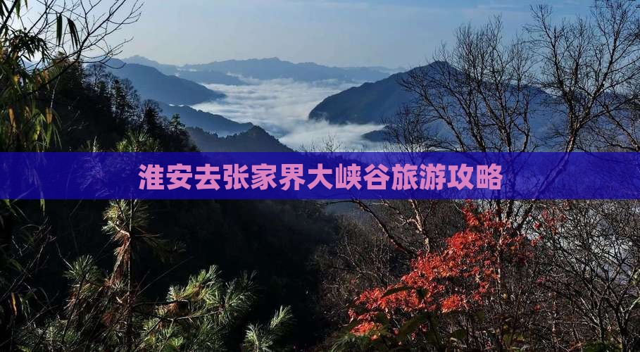 淮安去张家界大峡谷景点