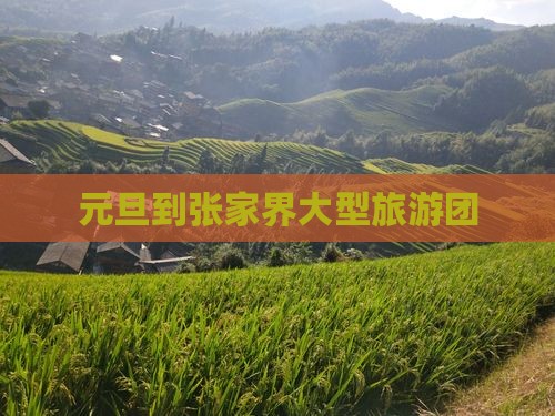 元旦到张家界大型旅游团