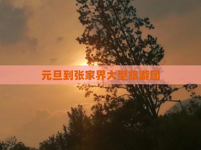 元旦到张家界大型旅游团