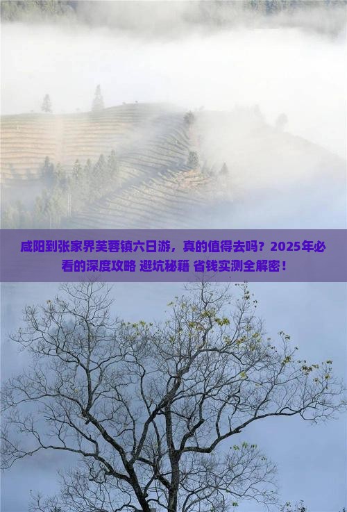 咸阳到张家界芙蓉镇六日游