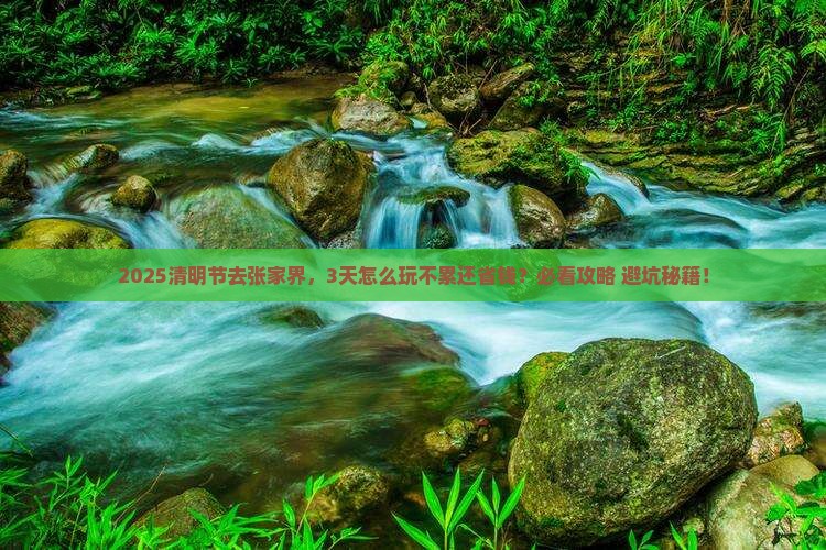 清明节到张家界攻略