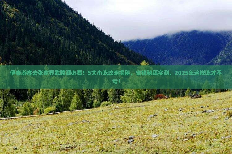 伊春去张家界武陵源旅游小吃