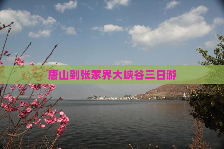 唐山到张家界大峡谷三日游