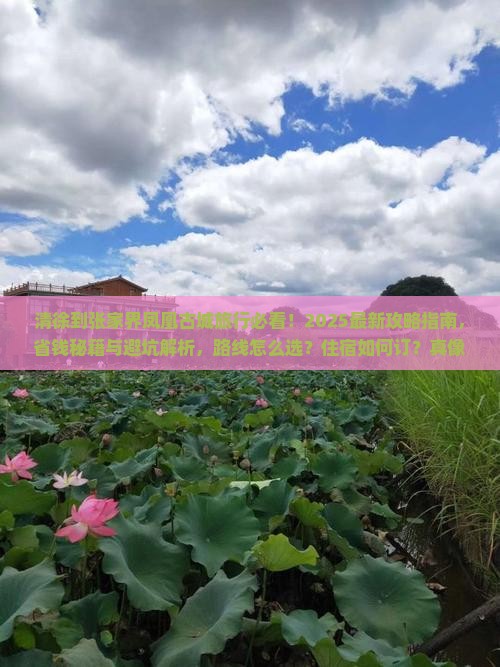 清徐到张家界凤凰古城旅行社