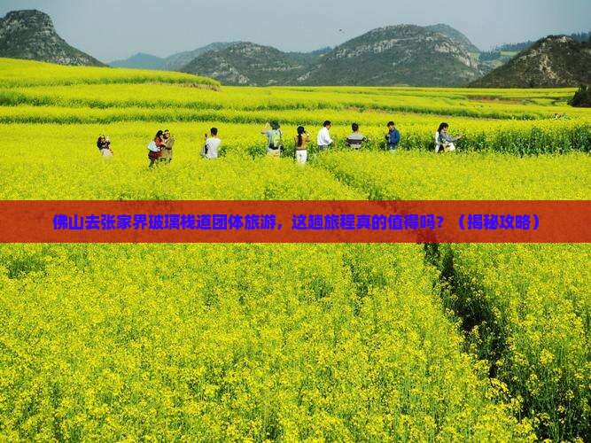 佛山去张家界玻璃栈道团体旅游