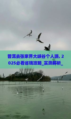 普洱去张家界大峡谷个人游