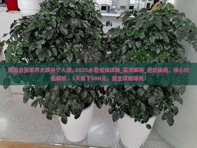 普洱去张家界大峡谷个人游