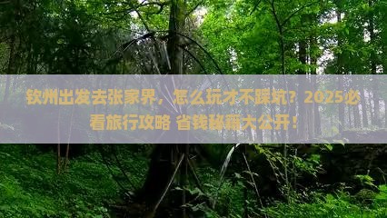 钦州去张家界旅行社