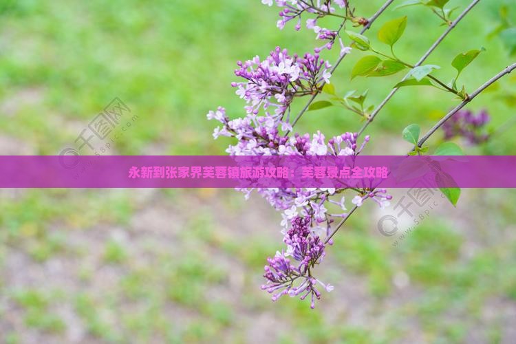 永新到张家界芙蓉镇景点