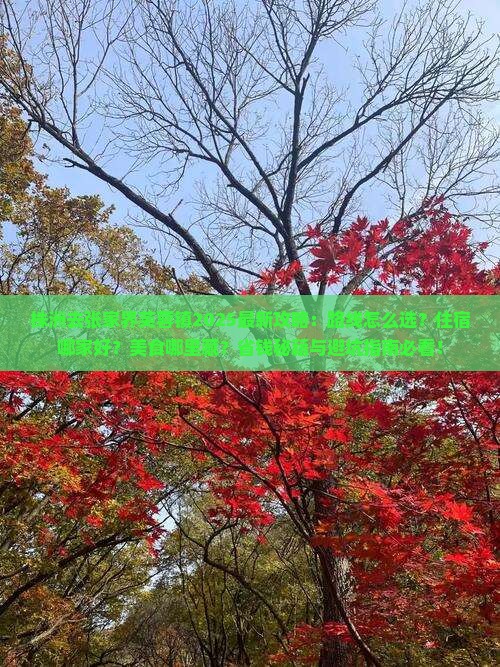 株洲去张家界芙蓉镇攻略