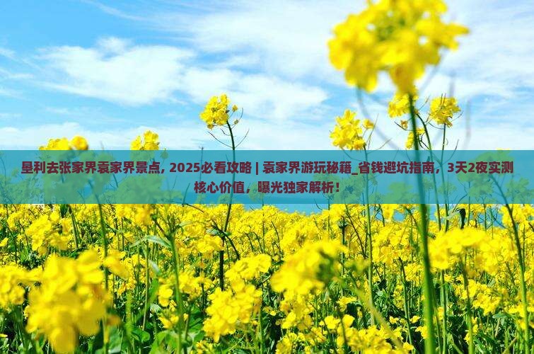 垦利去张家界袁家界景点