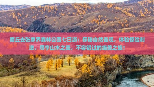 商丘去张家界森林公园七日游