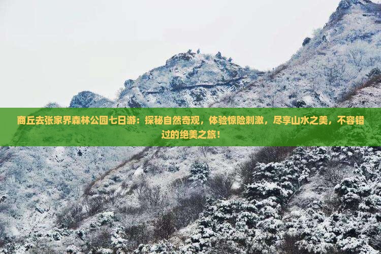 商丘去张家界森林公园七日游