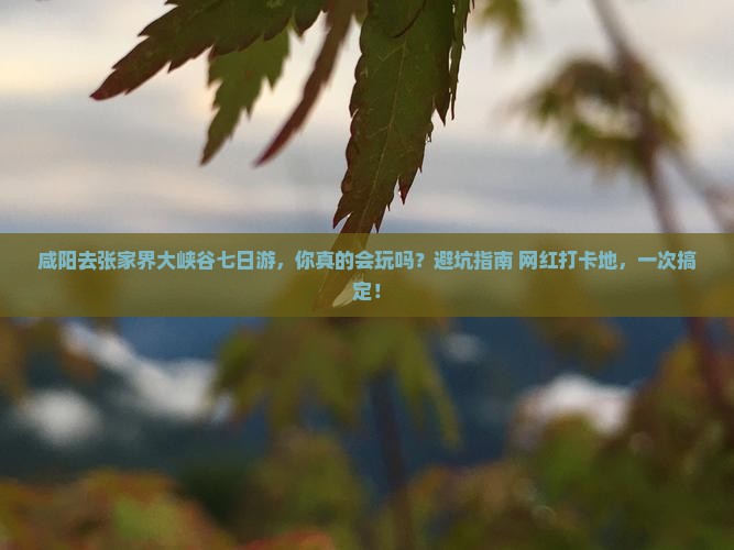 咸阳去张家界大峡谷七日游