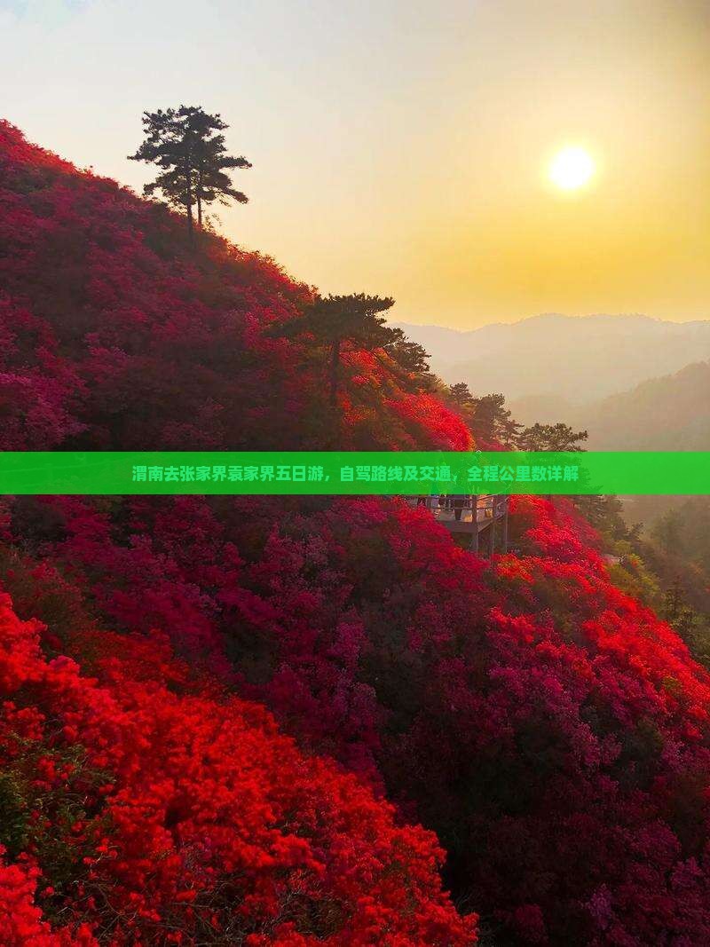 渭南去张家界袁家界五日游